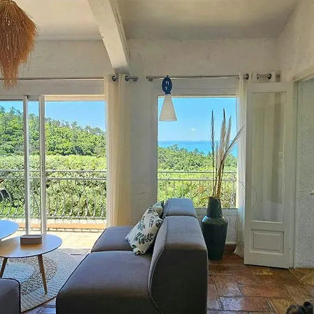 Provencal Facing The Gulf Of Saint-tropez *