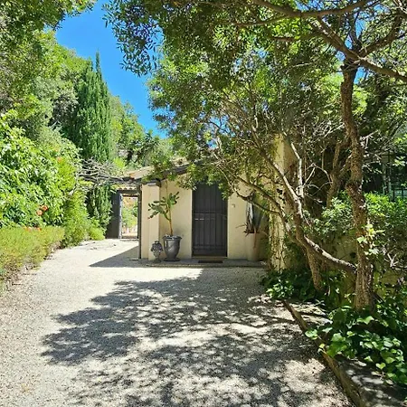 Provencal Facing The Gulf Of Saint-tropez *