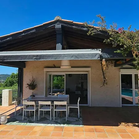 Provencal Facing The Gulf Of Saint-tropez