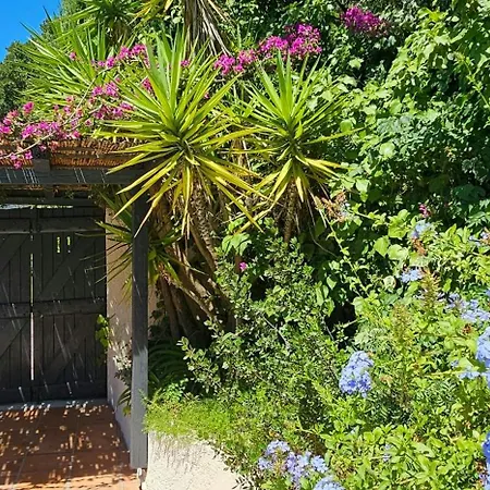 Provencal Facing The Gulf Of Saint-tropez Tatil Evi