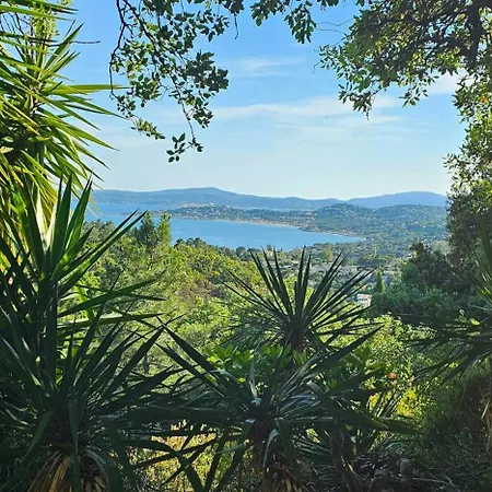 Provencal Facing The Gulf Of Saint-tropez Tatil Evi