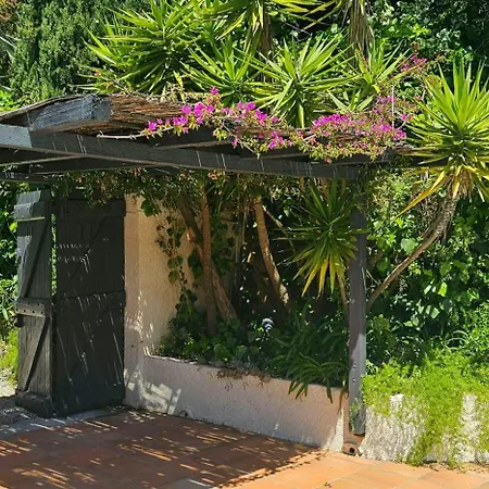 Provencal Facing The Gulf Of Saint-tropez Tatil Evi