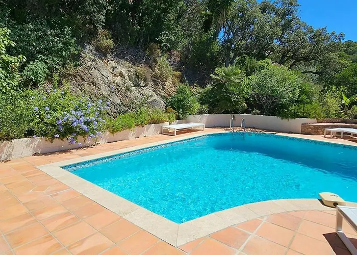 Provencal Facing The Gulf Of Saint-tropez Tatil Evi