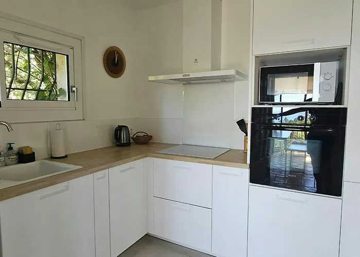 Provencal Facing The Gulf Of Saint-tropez *