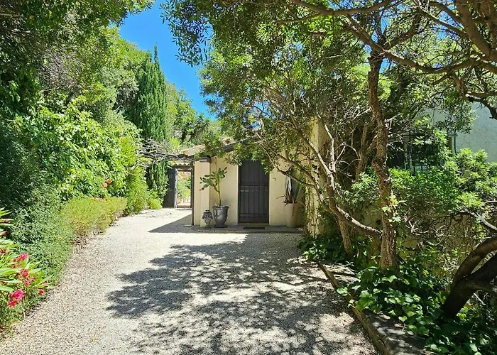 Provencal Facing The Gulf Of Saint-tropez *
