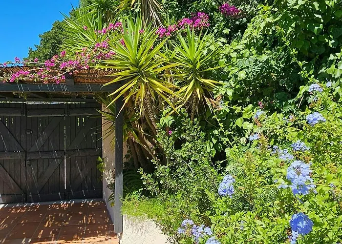 Provencal Facing The Gulf Of Saint-tropez Tatil Evi