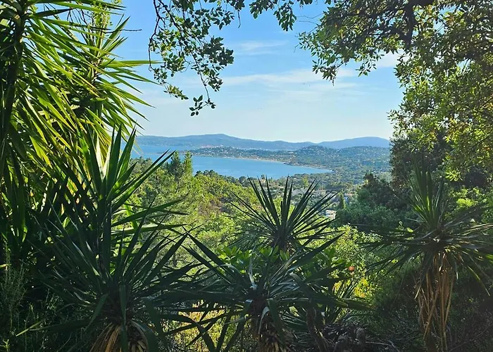 Provencal Facing The Gulf Of Saint-tropez Tatil Evi