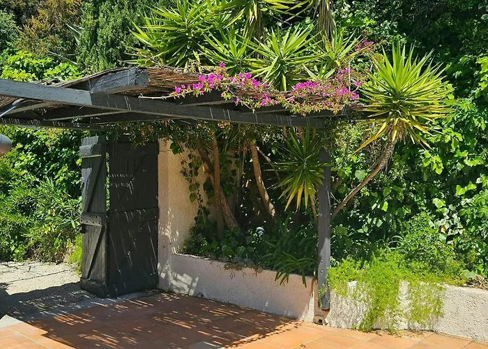 Provencal Facing The Gulf Of Saint-tropez Tatil Evi